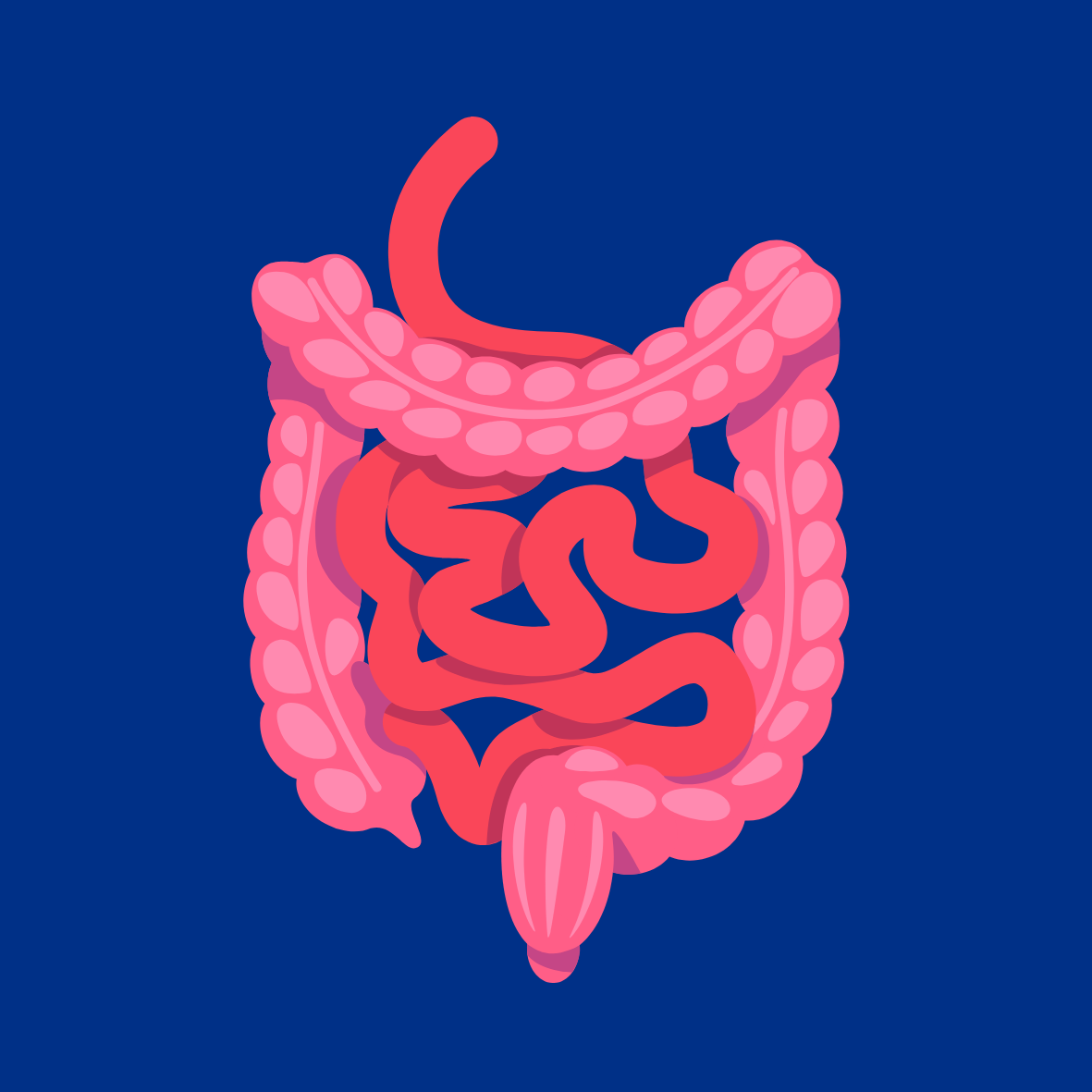 Image of Bowel