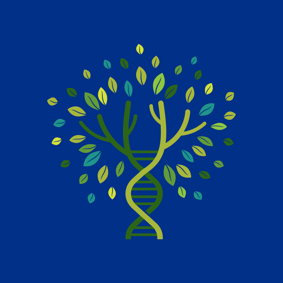 Image of Tree and Trunk is Strand of DNA